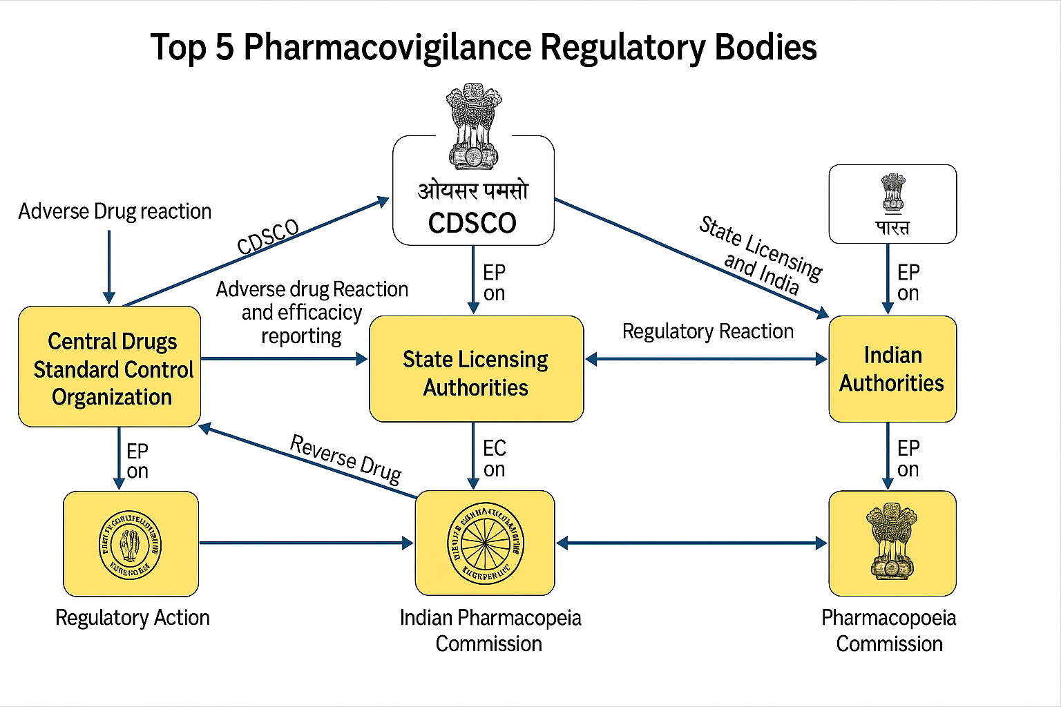 Flowchart of top 5 pharmacovigilance regulatory bodies in India including CDSCO, State Licensing Authorities, IPC, and others, showing adverse drug reaction reporting pathways.